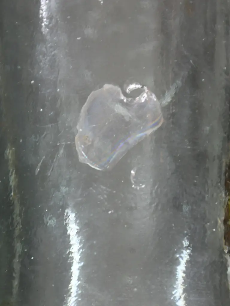 LANE DUNEDIN BLOB TOP AND CODD Image 1++