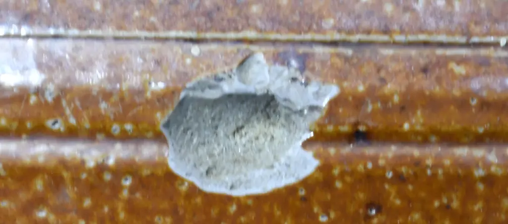 MCGAVIN DUNEDIN STONE JAR Image 1++