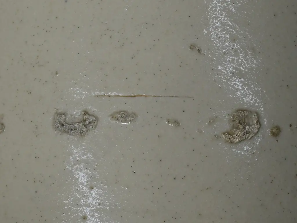 QULITER MATURA STONE JAR Image 1++