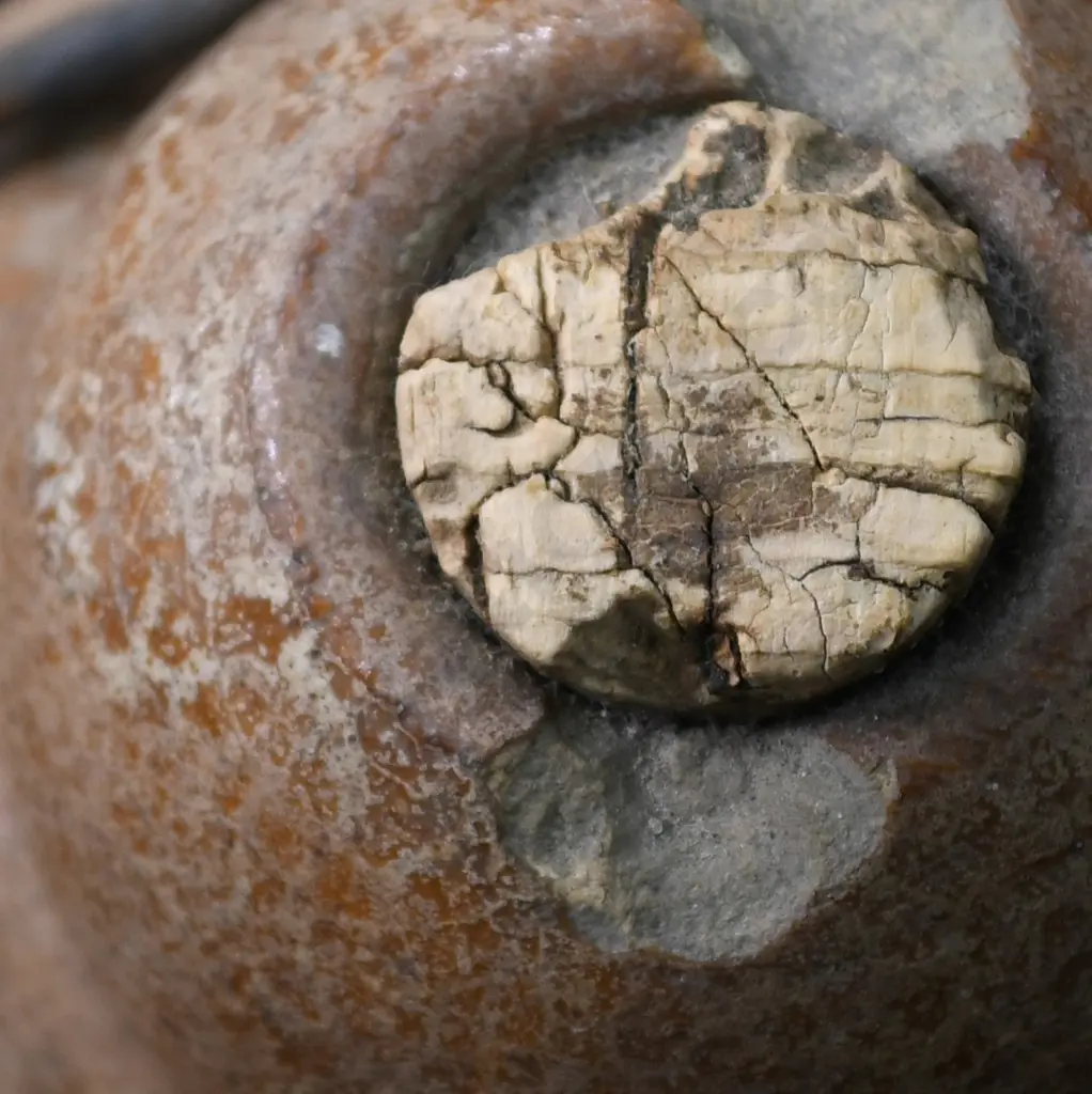 GRANT & MAYNARD ALEXANDRA STONE JAR Image 1++