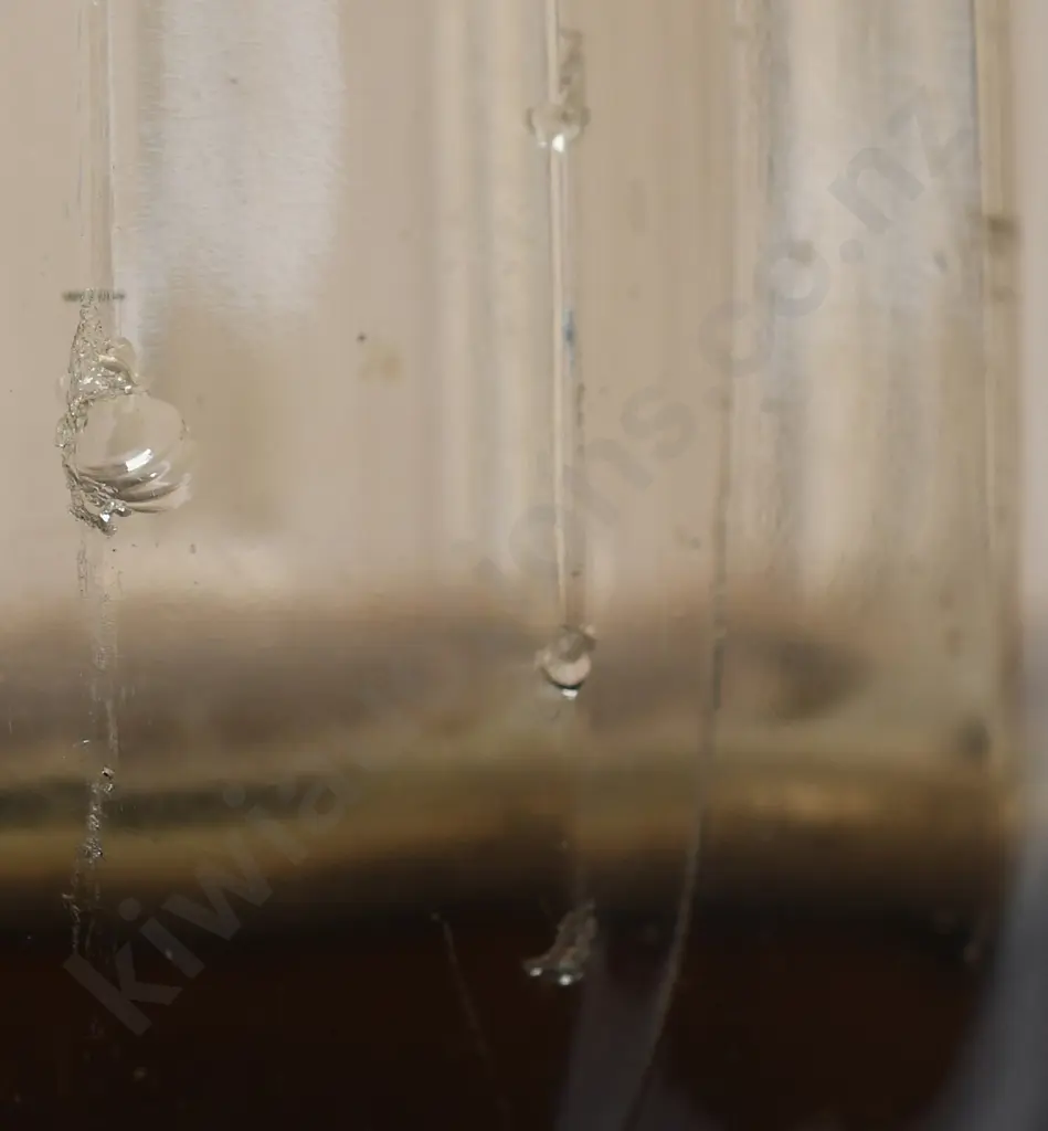 SAUNDERS MUSWELLBROOK SODA SYPHON Image 1++