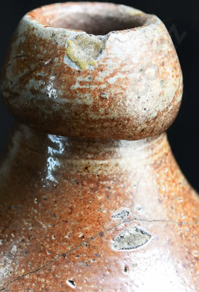FOWLER POTTER SYDNEY GINGER BEER Image 1++