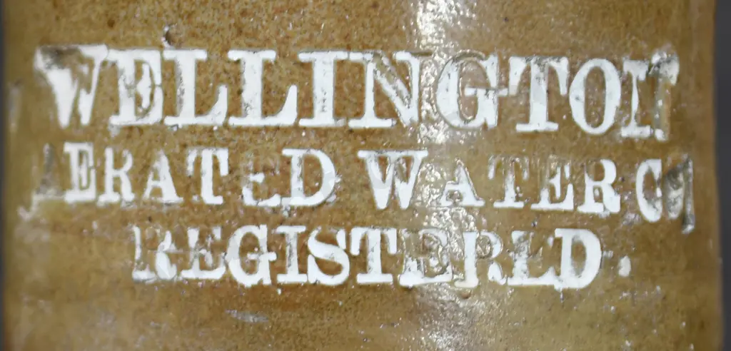 WELLINGTON AERATED  GINGER BEER Image 1++