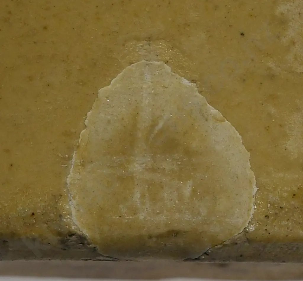 DODSON NELSON GINGER BEER Image 1++