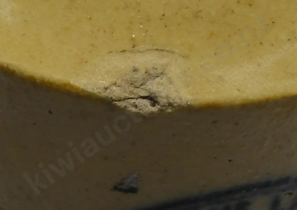 DODSON NELSON GINGER BEER Image 1++