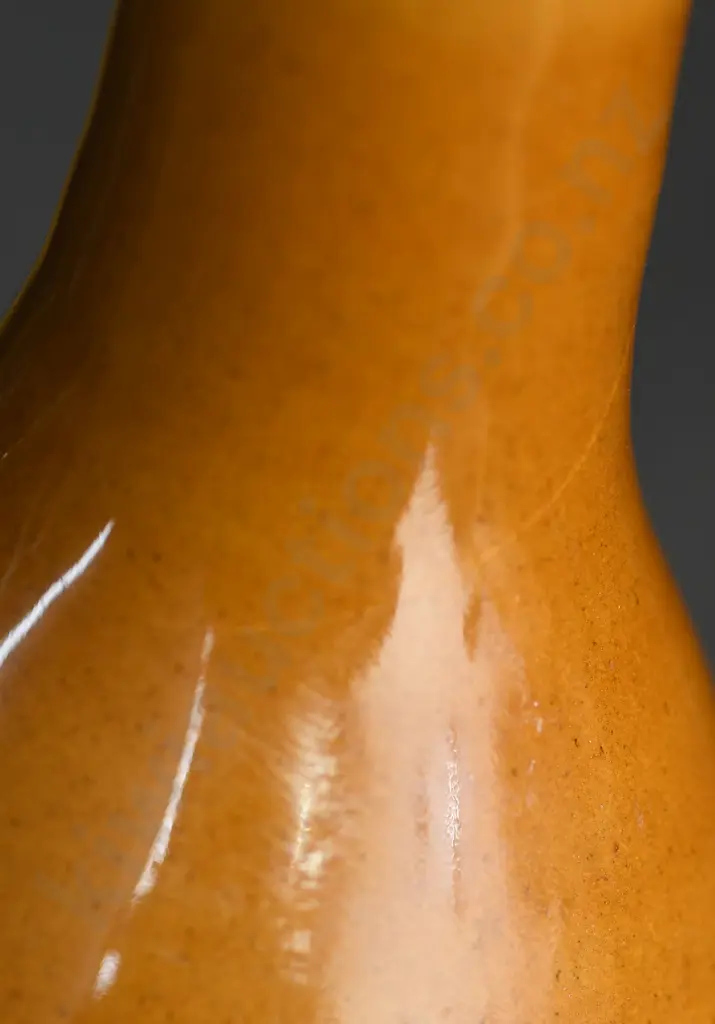 FITZGERALD (TE AWAMUTU) GINGER BEER Image 1++