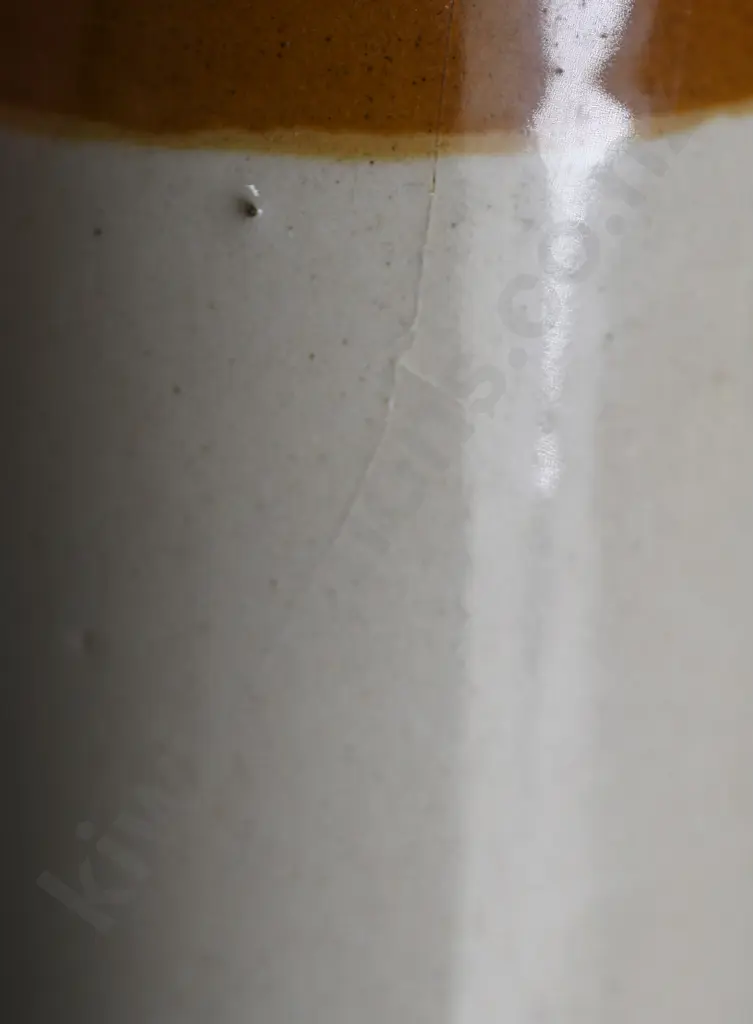 FITZGERALD (TE AWAMUTU) GINGER BEER Image 1++
