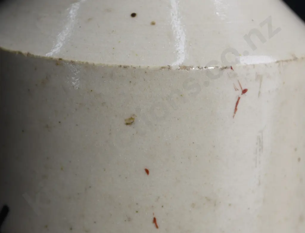 PAUL NEW PLYMOUTH GINGER BEER Image 1++