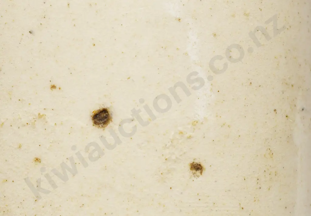 PHOENIX WELLINGTON PETONE GINGER BEER Image 1++