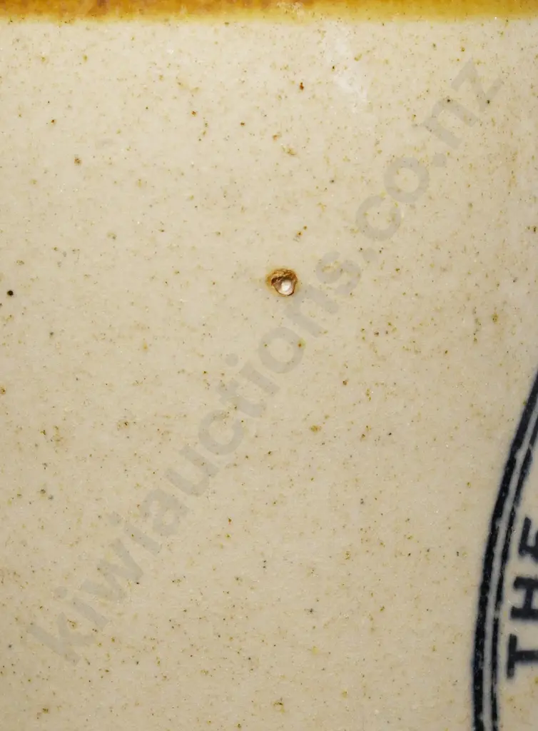 PHOENIX WELLINGTON PETONE GINGER BEER Image 1++
