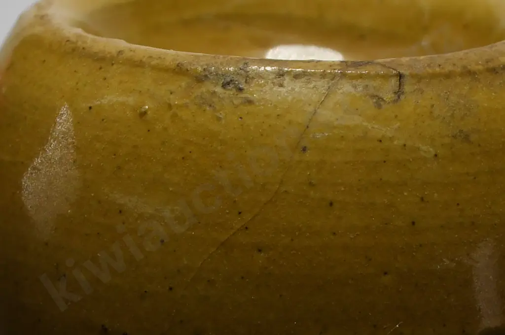 ROBINSON CHRISTCHURCH GINGER BEER Image 1++