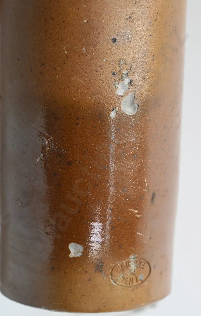 SCHWEPPES GINGER BEER Image 1++