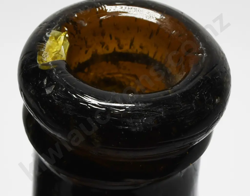 WARNER'S SAFE CURES Image 1++