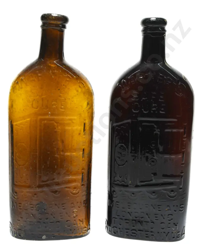 WARNER'S SAFE CURES Image 1++