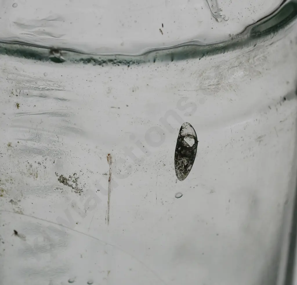 GLOBE MALT VINEGAR Image 1++
