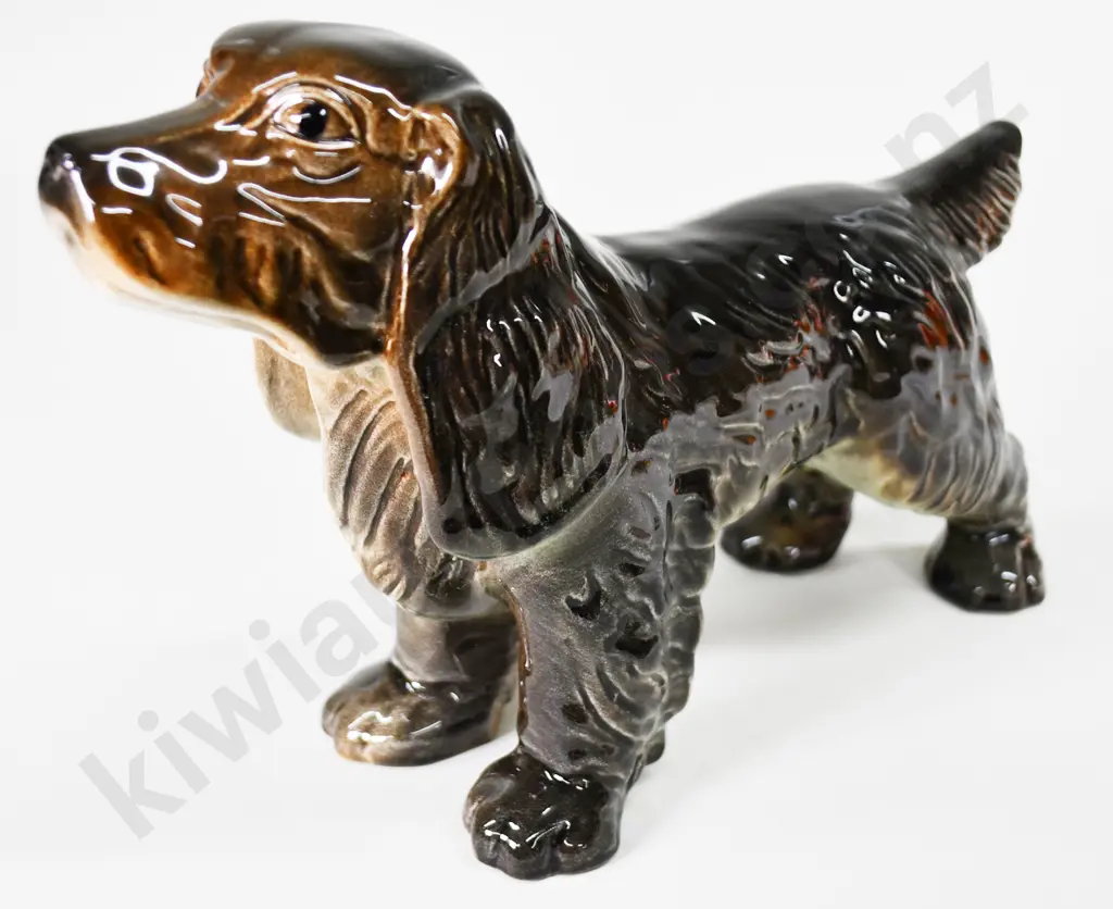 CROWN LYNN SPANIEL Image 1++