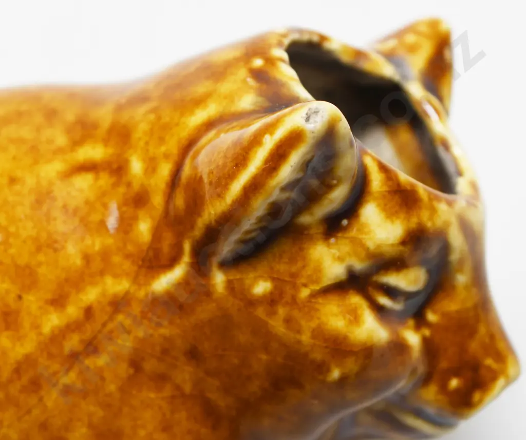 BENHAR PIG Image 1++
