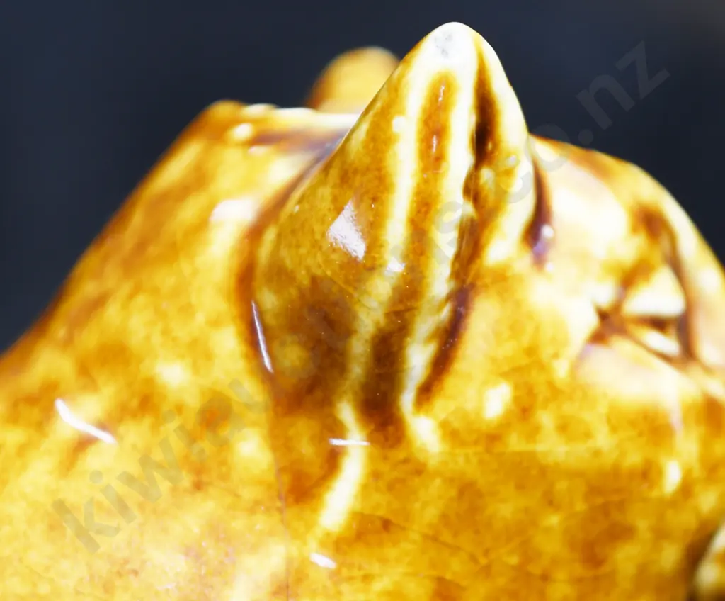 BENHAR PIG Image 1++