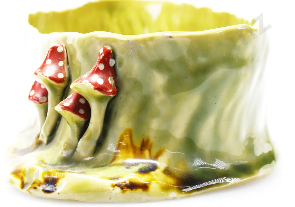MOLLEE POTTERY BOWL Image 1++