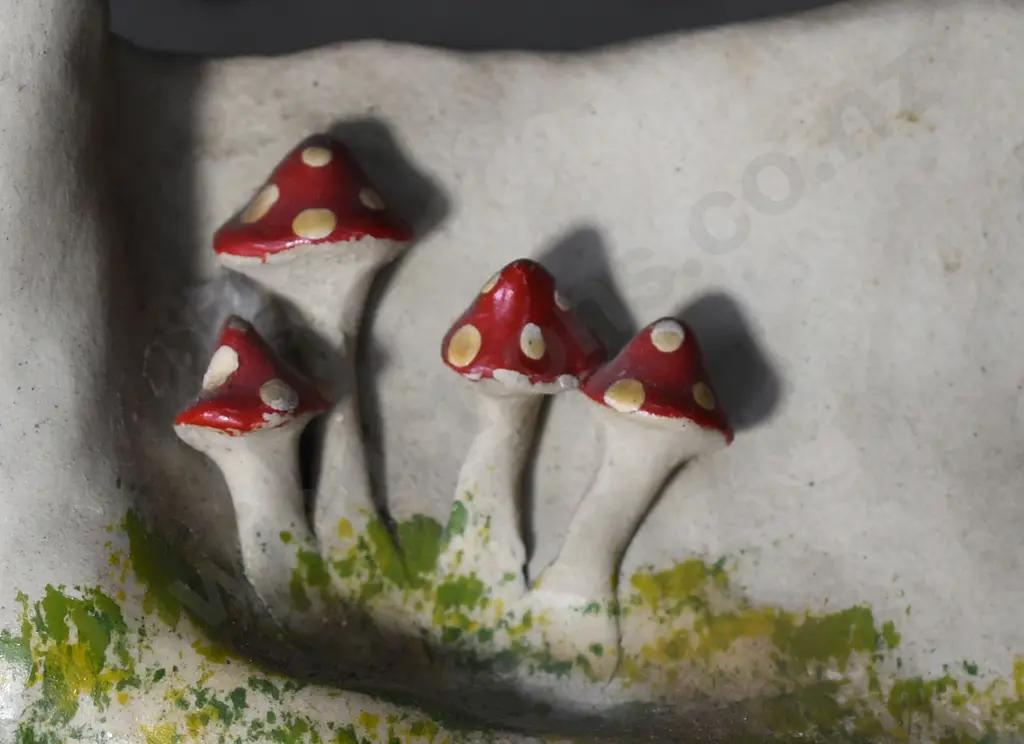 MOLLE BOWL TOADSTOOLS Image 1++