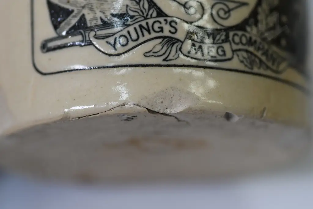 YCC ONIONS Image 1++