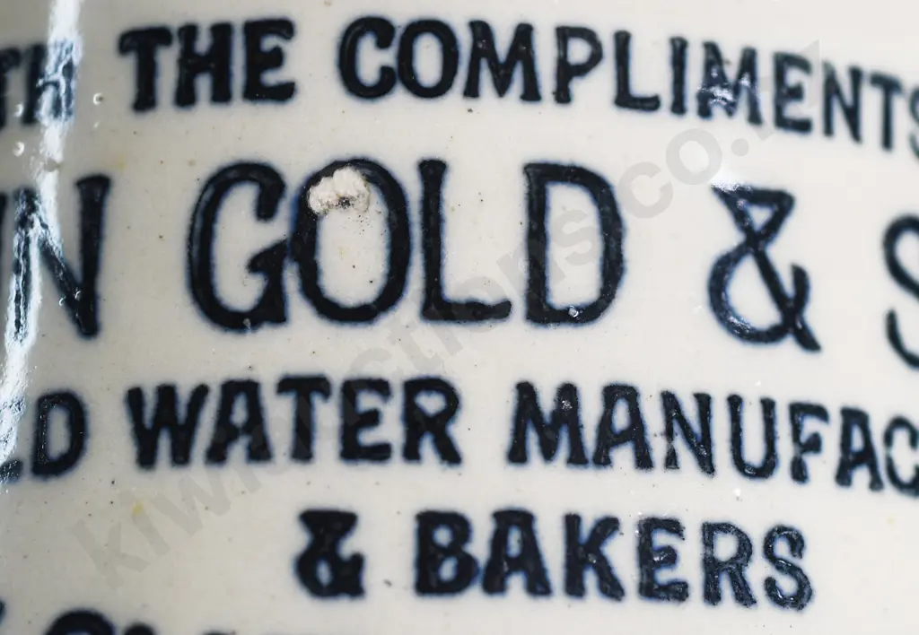 JOHN GOLD & SONS BALCLUTHA & MILTON WATER JUG Image 1++