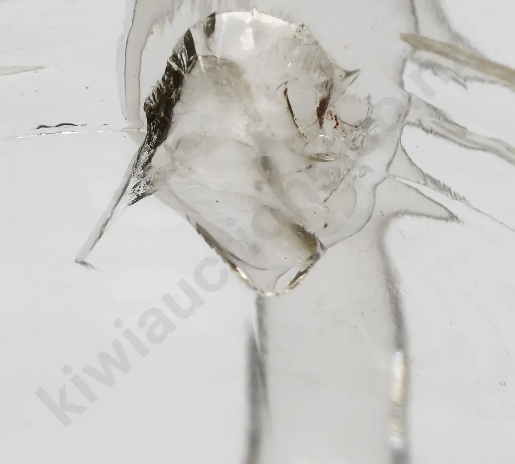 DUNEDIN BREWERY CO JUG Image 1++