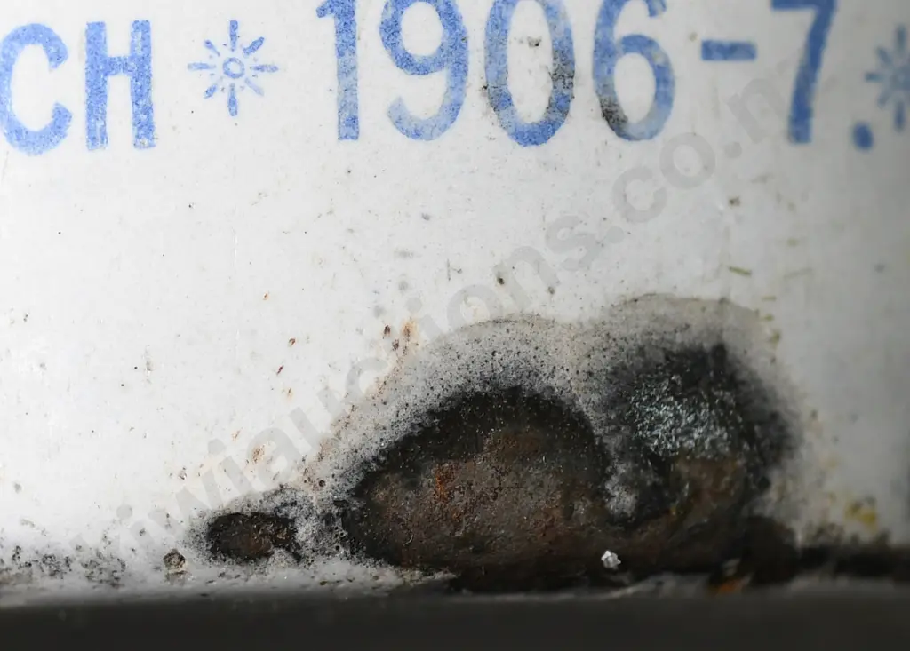 CHRISTCHURCH EXHIBITION ENAMELWARE CUP Image 1++